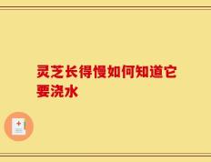 灵芝长得慢如何知道它要浇水