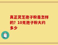 真正灵芝孢子粉是怎样的？10克孢子粉大约多少