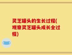 灵芝罐头的生长过程(观察灵芝罐头成长全过程)