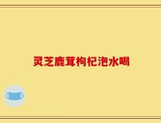 灵芝鹿茸枸杞泡水喝