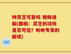种灵芝可靠吗 视频讲解(翻拍：灵芝的功效是否可信？听听专家的解读)