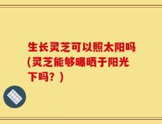 生长灵芝可以照太阳吗(灵芝能够曝晒于阳光下吗？)