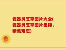 瓷器灵芝草图片大全(瓷器灵芝草图片集锦，精美难忘)