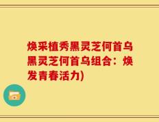 焕采植秀黑灵芝何首乌黑灵芝何首乌组合：焕发青春活力)