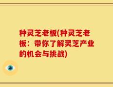 种灵芝老板(种灵芝老板：带你了解灵芝产业的机会与挑战)