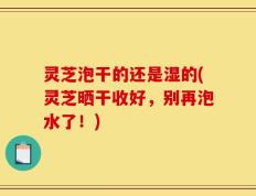 灵芝泡干的还是湿的(灵芝晒干收好，别再泡水了！)