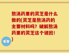 熬汤药里的灵芝是什么做的(灵芝是熬汤药的主要材料吗？破解熬汤药里的灵芝这个谜团！)