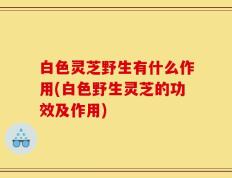 白色灵芝野生有什么作用(白色野生灵芝的功效及作用)