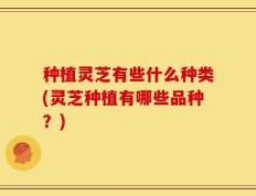 种植灵芝有些什么种类(灵芝种植有哪些品种？)