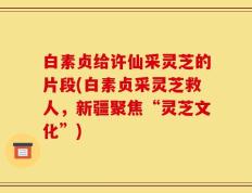 白素贞给许仙采灵芝的片段(白素贞采灵芝救人，新疆聚焦“灵芝文化”)