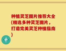 种植灵芝图片推荐大全(精选多种灵芝图片，打造完美灵芝种植指南)