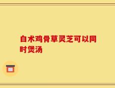 白术鸡骨草灵芝可以同时煲汤