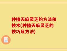 种植天麻灵芝的方法和技术(种植天麻灵芝的技巧及方法)