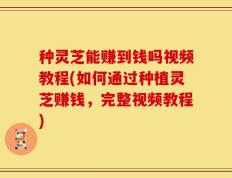 种灵芝能赚到钱吗视频教程(如何通过种植灵芝赚钱，完整视频教程)