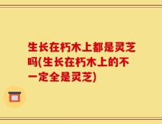 生长在朽木上都是灵芝吗(生长在朽木上的不一定全是灵芝)