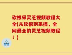 砍根采灵芝视频教程大全(从砍根到采摘，全网最全的灵芝视频教程！)