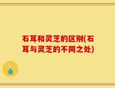 石耳和灵芝的区别(石耳与灵芝的不同之处)
