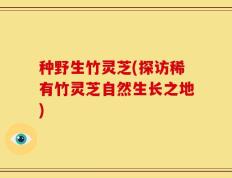 种野生竹灵芝(探访稀有竹灵芝自然生长之地)