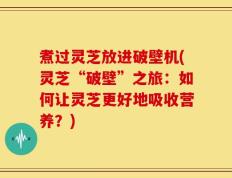 煮过灵芝放进破壁机(灵芝“破壁”之旅：如何让灵芝更好地吸收营养？)