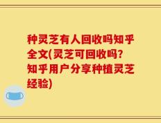 种灵芝有人回收吗知乎全文(灵芝可回收吗？知乎用户分享种植灵芝经验)