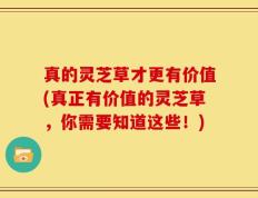 真的灵芝草才更有价值(真正有价值的灵芝草，你需要知道这些！)
