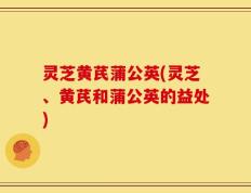 灵芝黄芪蒲公英(灵芝、黄芪和蒲公英的益处)