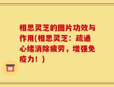 相思灵芝的图片功效与作用(相思灵芝：疏通心绪消除疲劳，增强免疫力！)