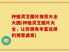 种植灵芝图片推荐大全大图(种植灵芝图片大全，让你拥有丰富选择的视觉盛宴)