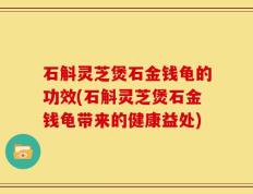 石斛灵芝煲石金钱龟的功效(石斛灵芝煲石金钱龟带来的健康益处)