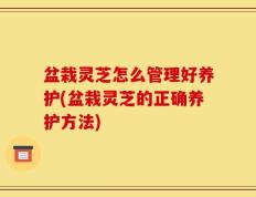 盆栽灵芝怎么管理好养护(盆栽灵芝的正确养护方法)