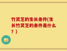 竹灵芝的生长条件(生长竹灵芝的条件是什么？)