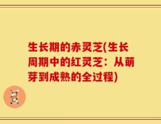 生长期的赤灵芝(生长周期中的红灵芝：从萌芽到成熟的全过程)