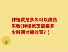 种植灵芝多久可以成熟采收(种植灵芝需要多少时间才能收获？)