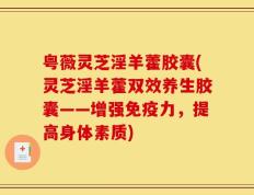 粤薇灵芝淫羊藿胶囊(灵芝淫羊藿双效养生胶囊——增强免疫力，提高身体素质)