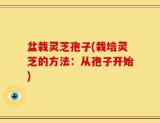 盆栽灵芝孢子(栽培灵芝的方法：从孢子开始)