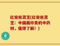 红安熊灵芝(红安熊灵芝：中国最珍贵的中药材，值得了解！)