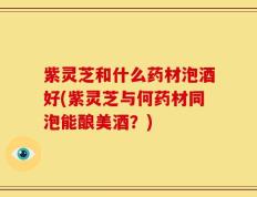 紫灵芝和什么药材泡酒好(紫灵芝与何药材同泡能酿美酒？)