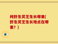 纯野生灵芝生长哪里(野生灵芝生长地点在哪里？)