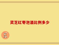 灵芝红枣泡酒比例多少