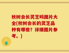 秋树会长灵芝吗图片大全(秋树会长的灵芝品种有哪些？详细图片参考。)