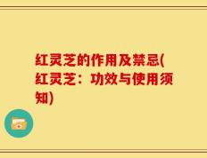 红灵芝的作用及禁忌(红灵芝：功效与使用须知)