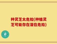 种灵芝太危险(种植灵芝可能存在潜在危险)
