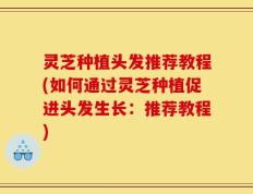 灵芝种植头发推荐教程(如何通过灵芝种植促进头发生长：推荐教程)