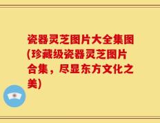 瓷器灵芝图片大全集图(珍藏级瓷器灵芝图片合集，尽显东方文化之美)