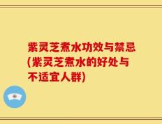 紫灵芝煮水功效与禁忌(紫灵芝煮水的好处与不适宜人群)