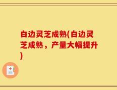 白边灵芝成熟(白边灵芝成熟，产量大幅提升)