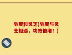 皂荚和灵芝(皂荚与灵芝相遇，功效倍增！)