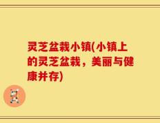灵芝盆栽小镇(小镇上的灵芝盆栽，美丽与健康并存)