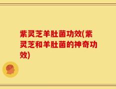 紫灵芝羊肚菌功效(紫灵芝和羊肚菌的神奇功效)