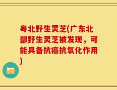 粤北野生灵芝(广东北部野生灵芝被发现，可能具备抗癌抗氧化作用)